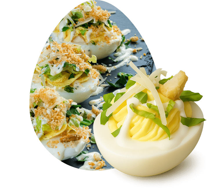 Raechel's  Favorite