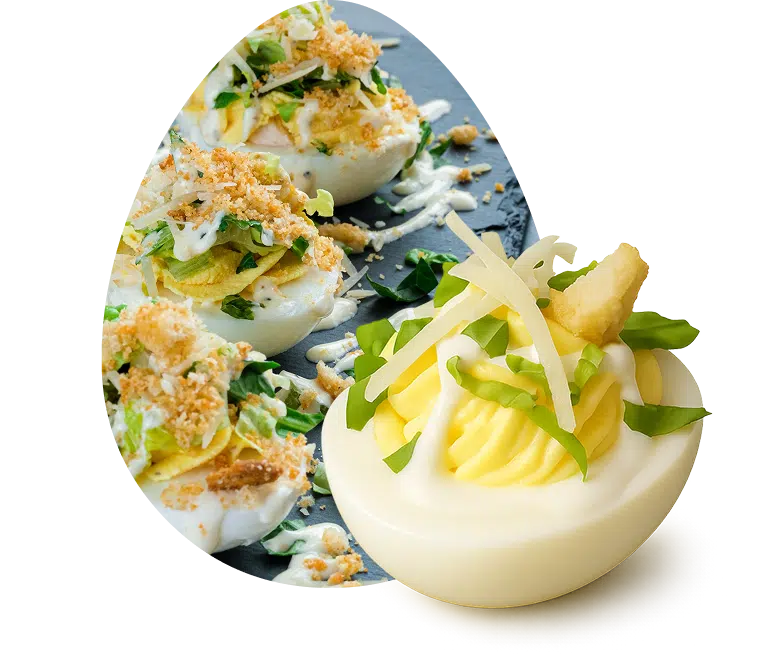 Raechel's  Favorite